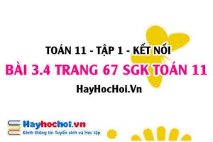 Giải bài 3.4 trang 67 Toán 11 tập 1 SGK Kết nối tri thức